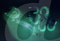 GM mosquitoes: inside the lab breeding six-legged agents in the war on malaria.