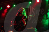 EXIT Music Festival