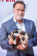 Los Angeles Premiere Of Netflix's 'FUBAR' Season 2