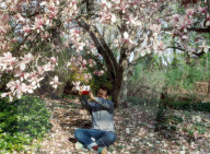 Camera writes poetry instead of taking photos