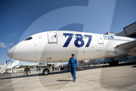 Japan grounds Boeing 787 fleet