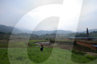 Nepali Farmers Engage In Paddy Plantation As Early Monsoon Gives Hope For Boom In Crop Production 
