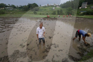 Nepali Farmers Engage In Paddy Plantation As Early Monsoon Gives Hope For Boom In Crop Production 