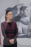 Mexico’s President Claudia Sheinbaum Holds Briefing