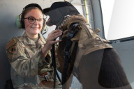 Chopper Dogs
