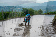 Paddy Planting Begins In Nepal