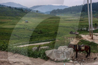 Tourism In Kashmir Valley Sees Sharp Decline