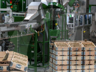PPolish Factory Five-fold Increase In Ammunition Production