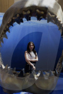 Opening Of The "Sharks" Exhibition, Through The American Museum Of Natural History In New York, In Collaboration With The Coppel Foundation And The Natural History Museum Of Mexico City