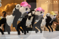  AI-powered Humanoid Robots Perform At IFC Mall In Shanghai
