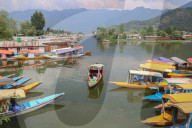 Tourism Sector In Kashmir, India