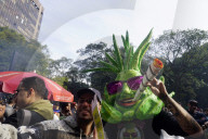 Annual March In Sao Paulo To Support The Decriminalization Of Marijuana