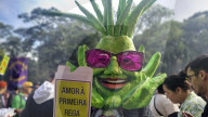 Annual March In Sao Paulo To Support The Decriminalization Of Marijuana