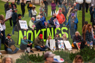 Minnesota No Kings Protest