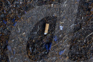 Toxic Chemical Leachate From Cigarette Butts Incurs US $26 billion In Annual Cleanup Costs