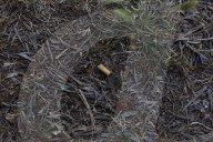 Toxic Chemical Leachate From Cigarette Butts Incurs US $26 billion In Annual Cleanup Costs