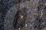 Toxic Chemical Leachate From Cigarette Butts Incurs US $26 billion In Annual Cleanup Costs