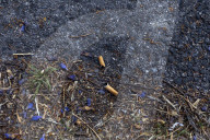 Toxic Chemical Leachate From Cigarette Butts Incurs US $26 billion In Annual Cleanup Costs