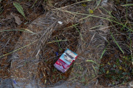 Toxic Chemical Leachate From Cigarette Butts Incurs US $26 billion In Annual Cleanup Costs