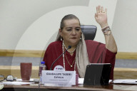 National Electoral Institute Session For The Review Of The Judicial Branch Election