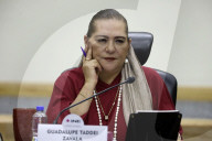 National Electoral Institute Session For The Review Of The Judicial Branch Election