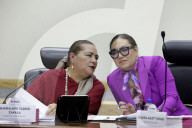 National Electoral Institute Session For The Review Of The Judicial Branch Election