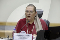 National Electoral Institute Session For The Review Of The Judicial Branch Election