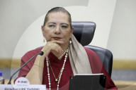National Electoral Institute Session For The Review Of The Judicial Branch Election