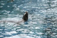Inside The Wilhelma Zoo In Stuttgart, Germany