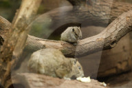 Inside The Wilhelma Zoo In Stuttgart, Germany