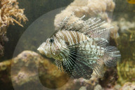 Inside The Wilhelma Zoo In Stuttgart, Germany