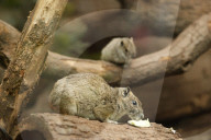 Inside The Wilhelma Zoo In Stuttgart, Germany