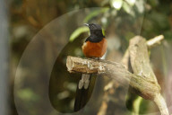 Inside The Wilhelma Zoo In Stuttgart, Germany