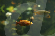 Inside The Wilhelma Zoo In Stuttgart, Germany