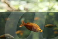 Inside The Wilhelma Zoo In Stuttgart, Germany