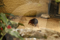 Inside The Wilhelma Zoo In Stuttgart, Germany