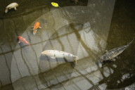 Inside The Wilhelma Zoo In Stuttgart, Germany