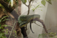 Inside The Wilhelma Zoo In Stuttgart, Germany