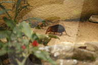 Inside The Wilhelma Zoo In Stuttgart, Germany