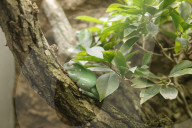 Inside The Wilhelma Zoo In Stuttgart, Germany