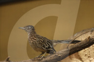 Inside The Wilhelma Zoo In Stuttgart, Germany