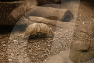 Inside The Wilhelma Zoo In Stuttgart, Germany