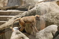 Inside The Wilhelma Zoo In Stuttgart, Germany