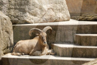 Inside The Wilhelma Zoo In Stuttgart, Germany