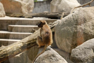 Inside The Wilhelma Zoo In Stuttgart, Germany