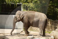 Inside The Wilhelma Zoo In Stuttgart, Germany