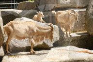 Inside The Wilhelma Zoo In Stuttgart, Germany