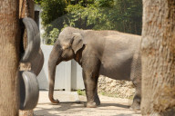 Inside The Wilhelma Zoo In Stuttgart, Germany