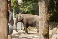 Inside The Wilhelma Zoo In Stuttgart, Germany