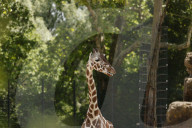Inside The Wilhelma Zoo In Stuttgart, Germany